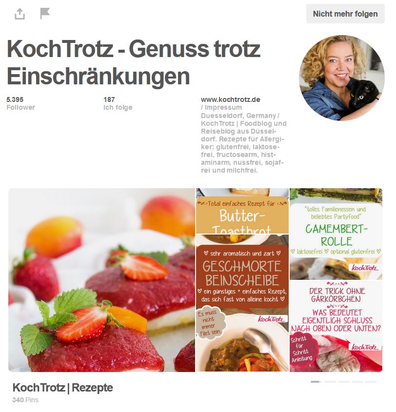 KochTrotz Pinterest Account