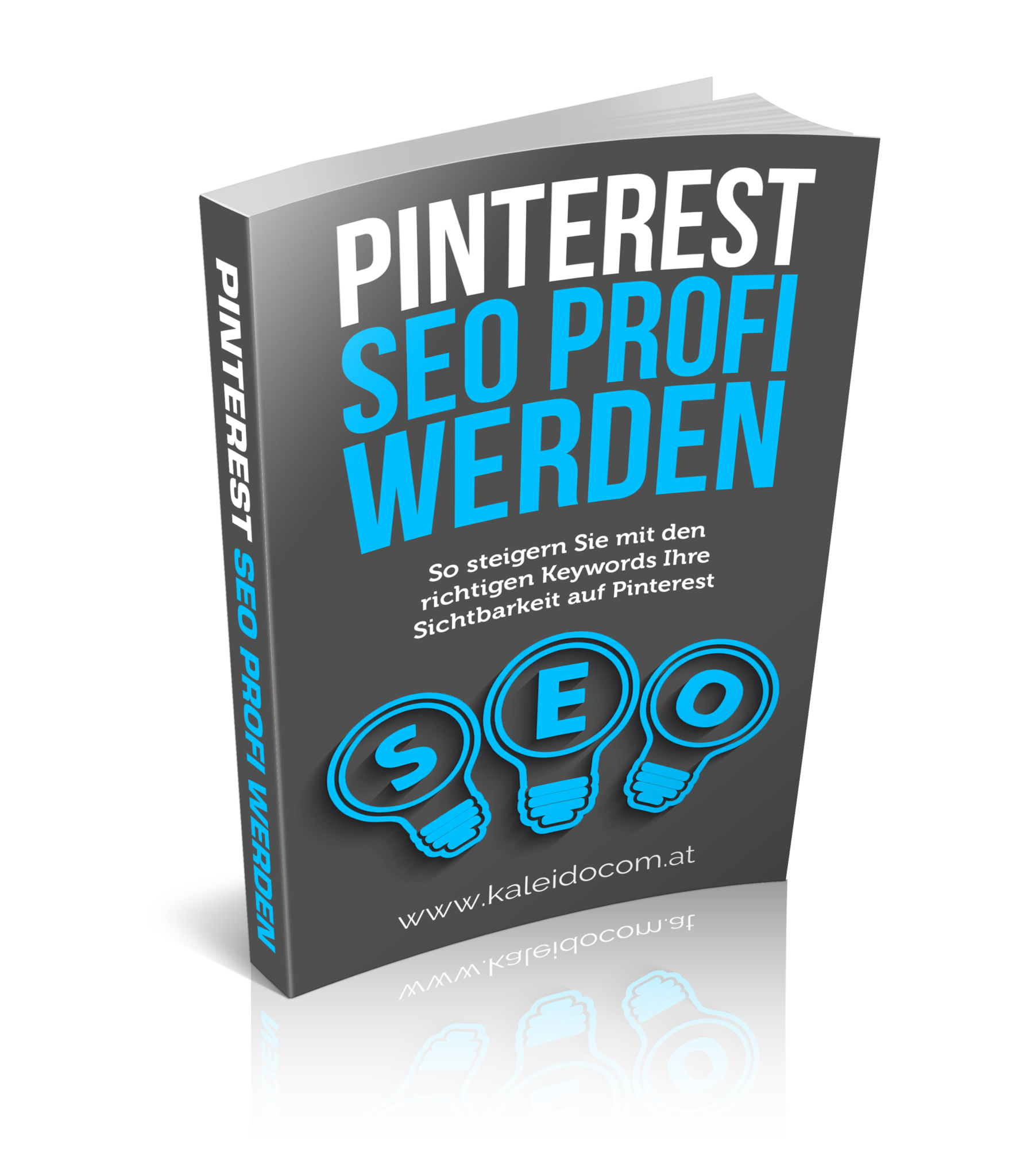 E-Book SEO Profi werden